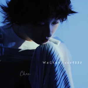 中文字幕人妻无码专区
