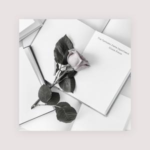 中文字幕人妻无码专区
